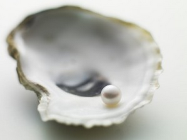 oyster pearl
